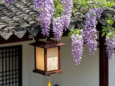 88+ Hình nền hoa tử đằng mộng mơ cuốn hút ánh nhìn