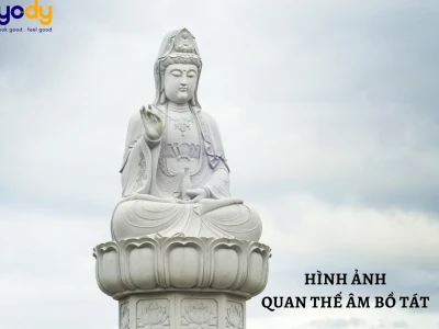188+ Ảnh Phật Quan Âm Thanh Tịnh Truyền Cảm Hứng Bình An