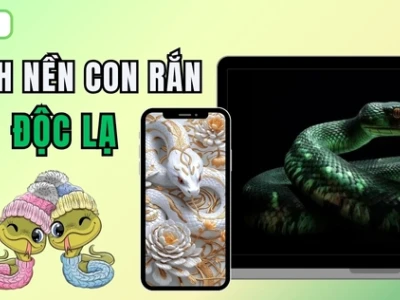 BST Hình Nền Con Rắn Cute Tuyệt Đẹp Cho Năm 2026