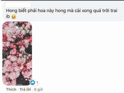 Gen Z Săn Lùng Hình Nền Hoa Mẫu Đơn Đẹp Nhất 2026