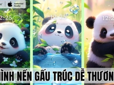 Hình nền điện thoại gấu trúc: Tuyển tập ảnh dễ thương cho năm 2026