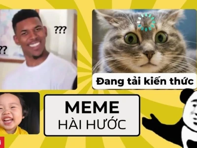 Hình nền điện thoại meme hài hước: Tuyển tập ảnh cực chất 2026