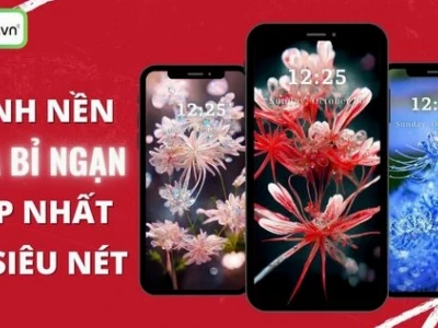 Hình nền hoa bỉ ngạn 3D: Vẻ đẹp ma mị và ý nghĩa sâu sắc