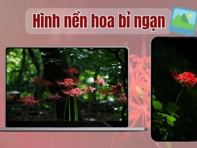 Hình Nền Hoa Bỉ Ngạn Anime: Khám Phá Vẻ Đẹp Huyền Bí Cho Thiết Bị Của Bạn
