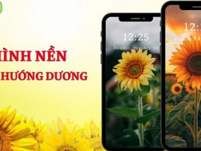 Hình nền hoa hướng dương cute: Tuyển tập 30+ ảnh đẹp cho điện thoại