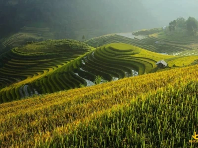 Hình Nền Quê Hương Tuyệt Đẹp Cho Không Gian Thêm Ấm Áp