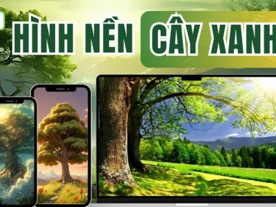 Khám phá thế giới hình nền cây xanh 4K cho mọi thiết bị