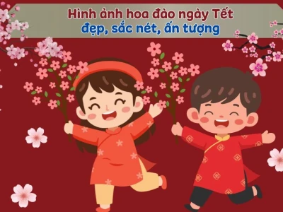 Khám phá vẻ đẹp hình nền hoa anh đào 2026: Tuyển tập ảnh sắc nét