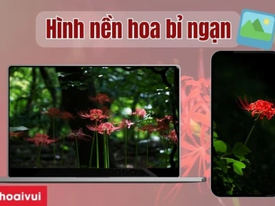 Khám Phá Vẻ Đẹp Huyền Bí Của Hình Nền Hoa Bỉ Ngạn Xanh