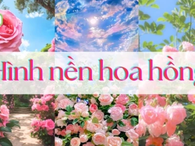 Khám phá vẻ đẹp huyền bí với hình nền hoa hồng đen 2026