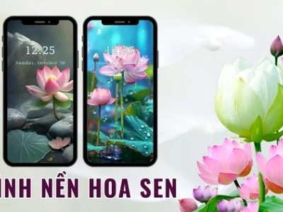 Khám phá vẻ đẹp thanh tao của hình nền hoa sen hồng