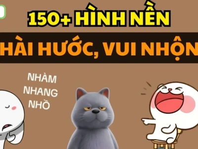 Top 99+ Hình Nền Máy Tính Meme Siêu Chất Cho Dân Văn Phòng 2026
