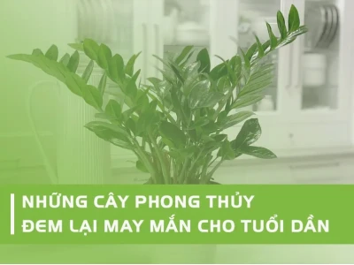 Tuổi Giáp Dần 1974 Trồng Cây Gì Hợp Phong Thủy Năm 2026?