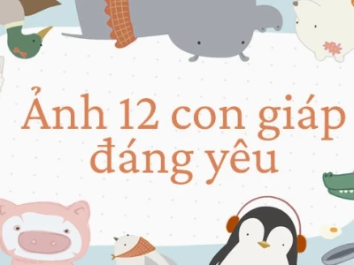 Tuyển Tập Hình Nền 12 Con Giáp Cute Nhất Cho Năm 2026