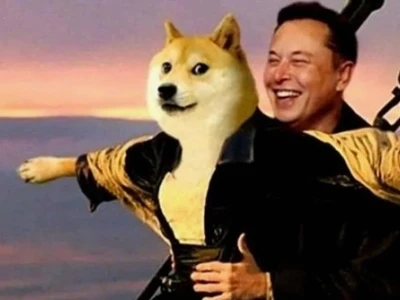 Tuyển tập hình nền máy tính meme bựa và hài hước cho năm 2026